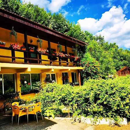 House In The Woods Acomodação com café da manhã Resita Exterior foto