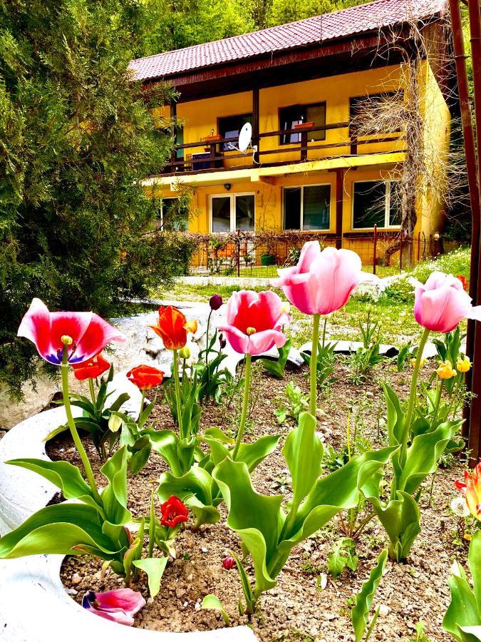 House In The Woods Acomodação com café da manhã Resita Exterior foto