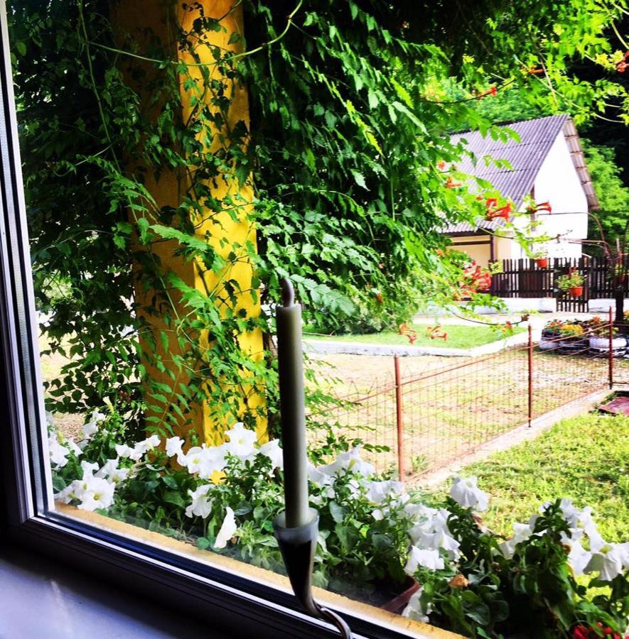 House In The Woods Acomodação com café da manhã Resita Exterior foto