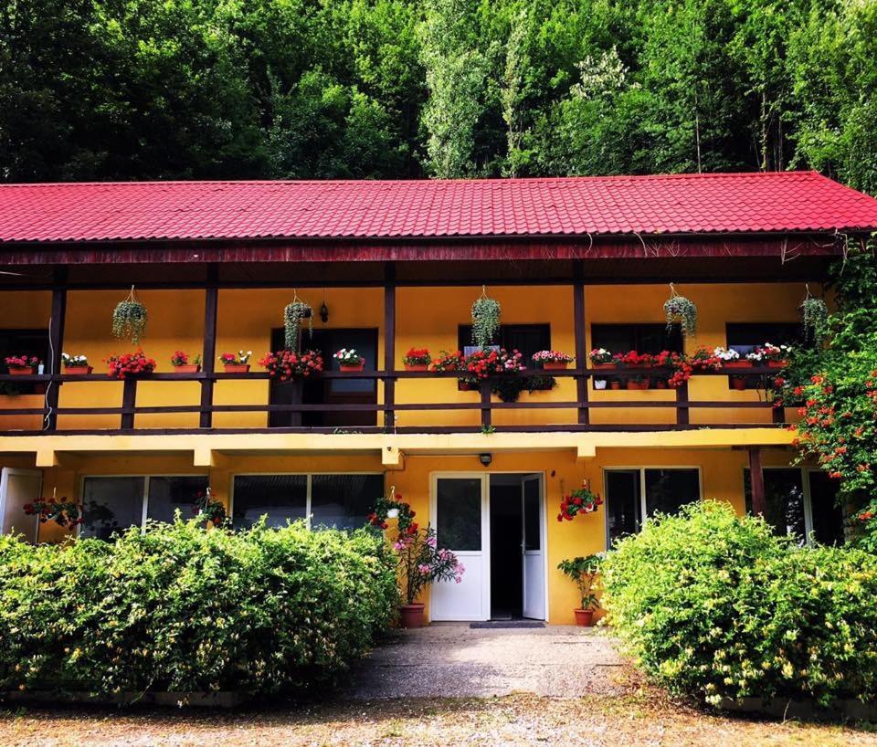 House In The Woods Acomodação com café da manhã Resita Exterior foto